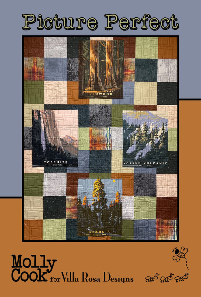 Villa Rosa Designs - Picture Perfect Pattern by Molly Cook