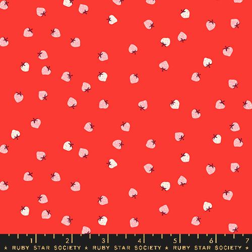 Ruby Star Society - Strawberry and Friends - Lollipop - RS3086 11 - Sold by the Half Yard
