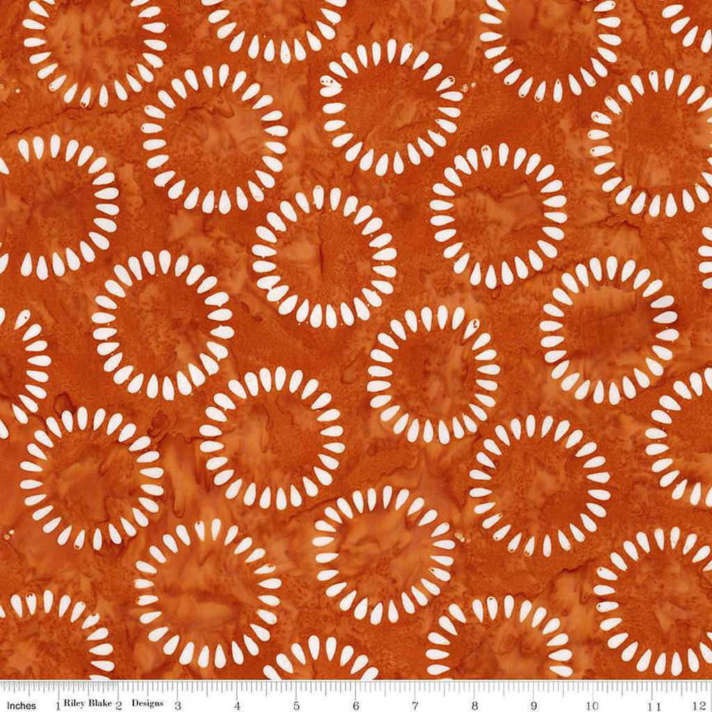 Riley Blake - Fright This Way - Spice - BT23332-238 - Sold by the Half Yard
