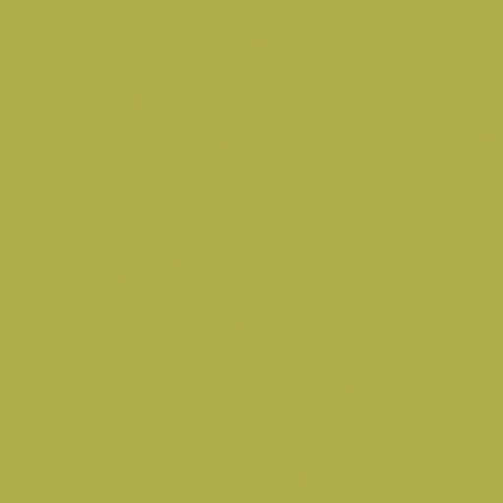 Riley Blake - Confetti Cotton - C120-Asparagus - Sold by the Half Yard