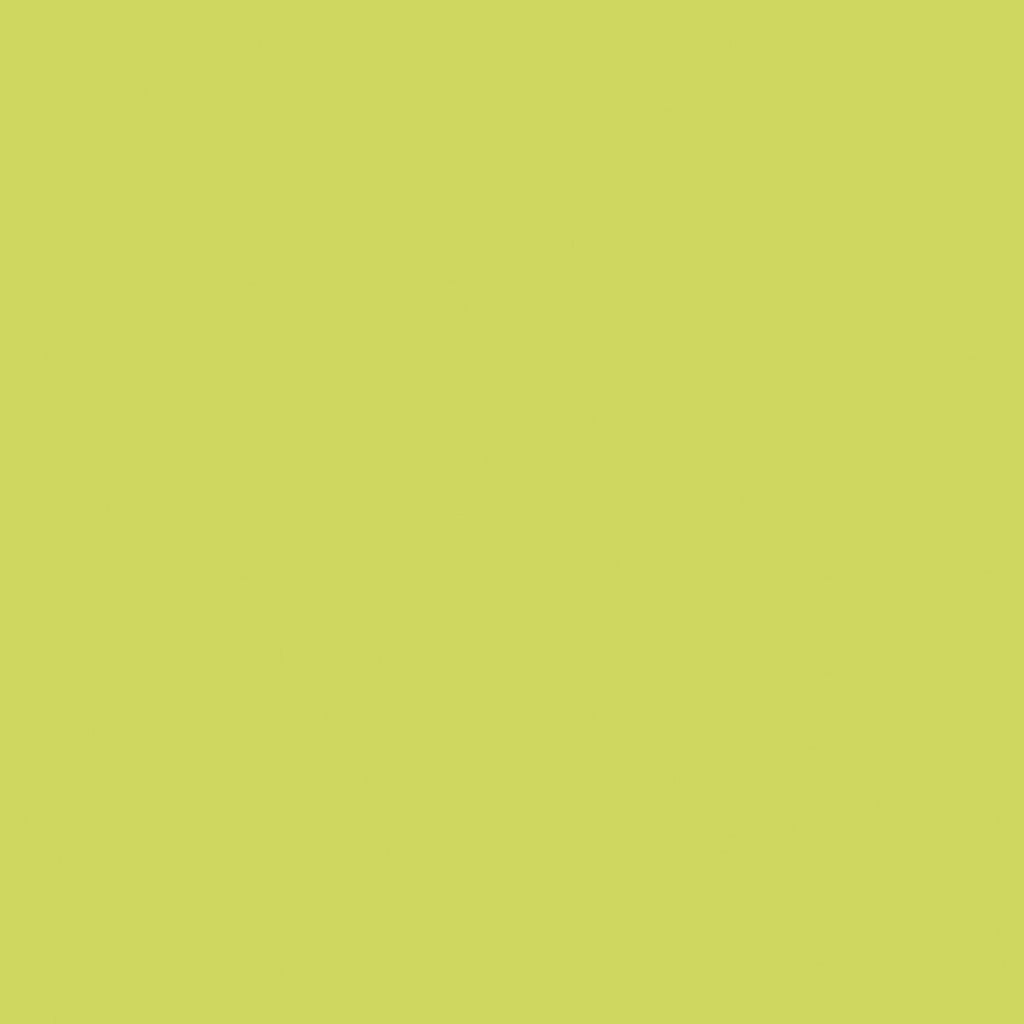 Riley Blake - Confetti Cotton - C120-Kiwi - Sold by the Half Yard