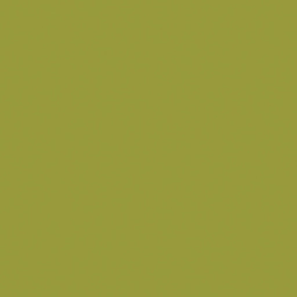 Riley Blake - Confetti Cotton - C120-Moss - Sold by the Half Yard