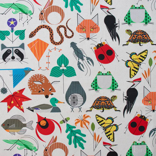 Birch Organic Fabric - Iconic - Space for all Species - D-CH411 - Sold by the Half Yard
