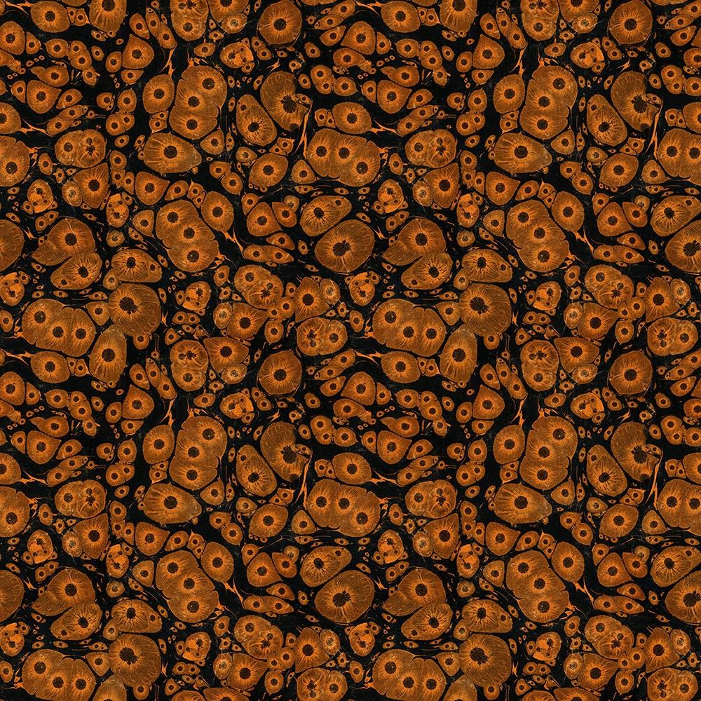 FreeSpirit Fabrics - Laboratory - Tim Holtz Eclectic Elements - Molecular Orange