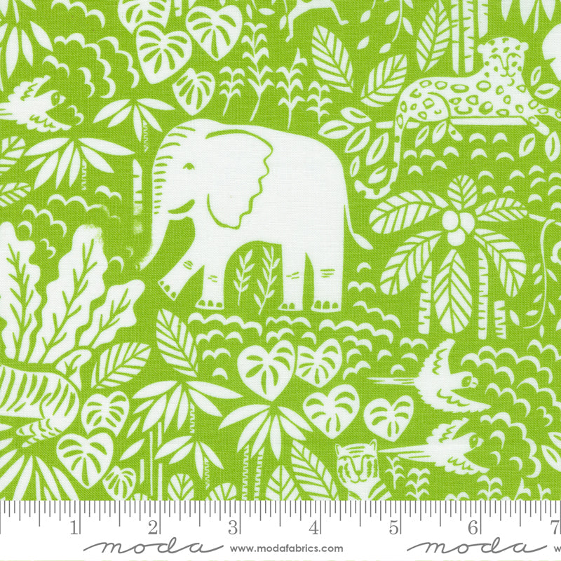 Moda Jungle Paradise -Jungle Scene- Seedling