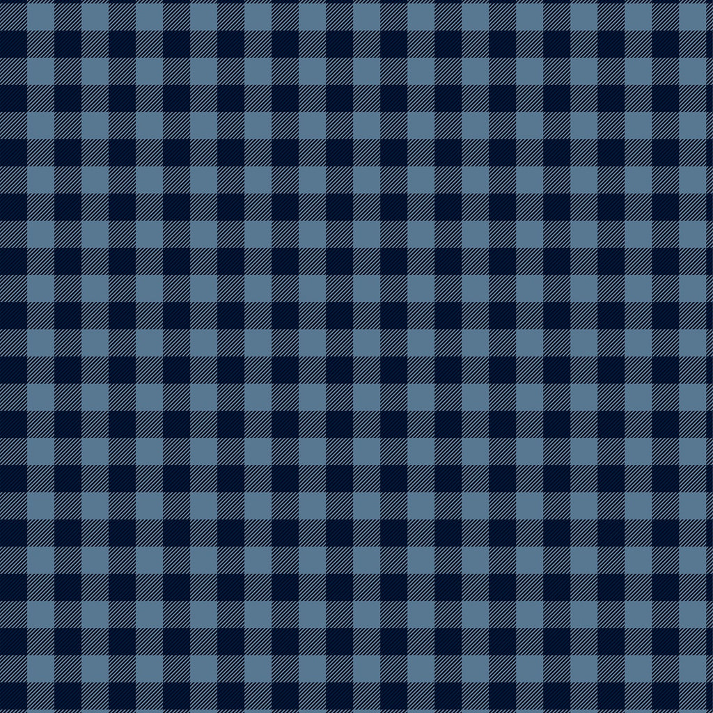 Wilmington Blue Buffalo Check