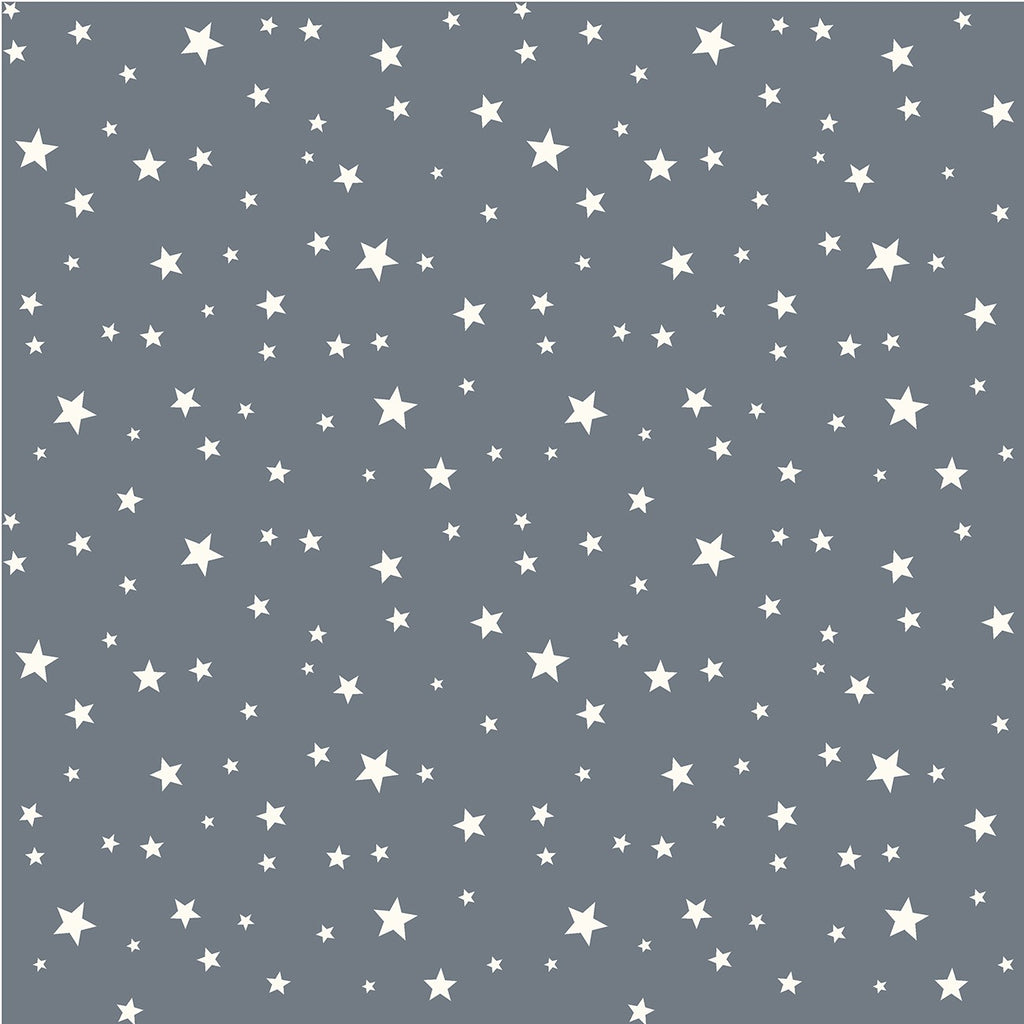 Michael Miller Wild & Free - Denim Open Sky