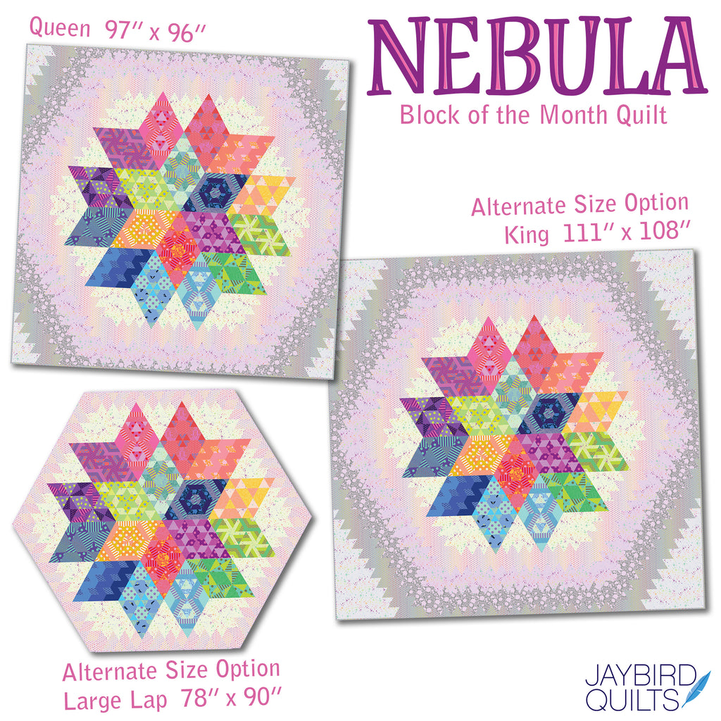 Tula Pink Nebula Quilt Kit
