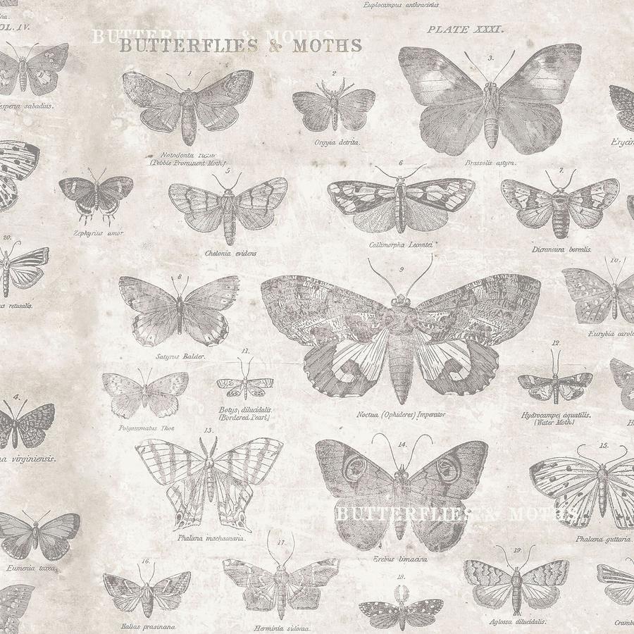 Tim Holtz Monochrome - Butterflies