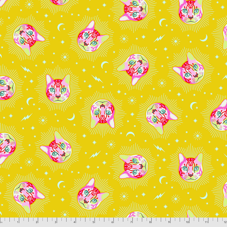 Tula Pink Curiouser and Curiouser Cheshire Wonder PWTP164.WONDER