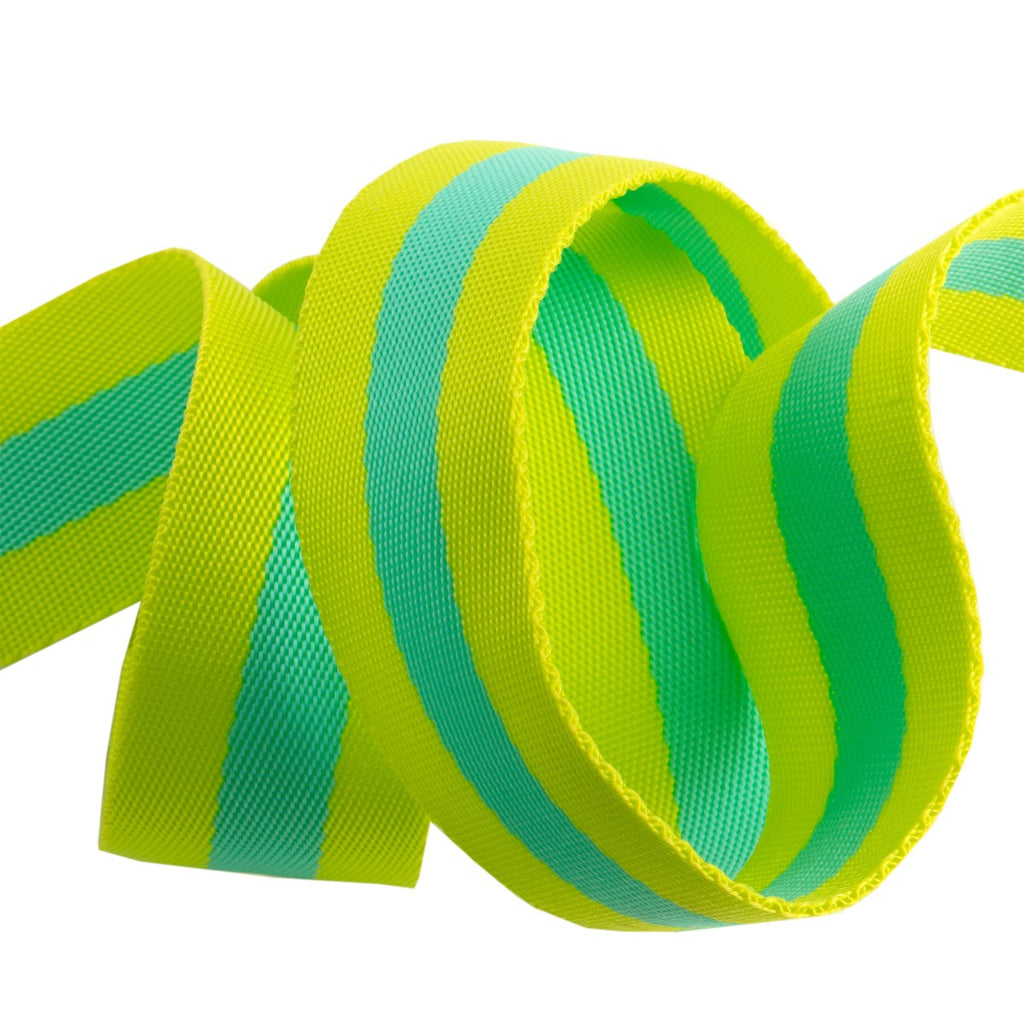 Tula Pink Webbing 1.5in - Lime and Turquoise