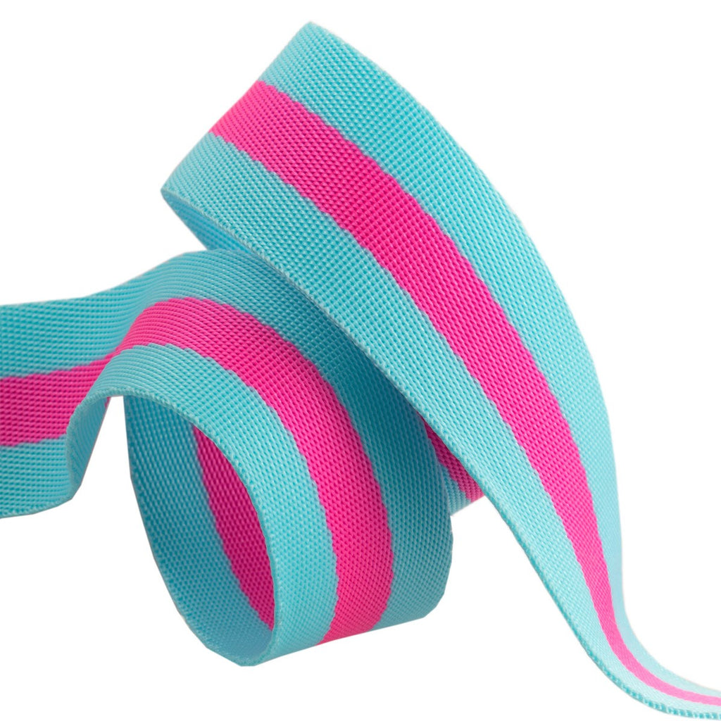 Tula Pink Webbing 1.5in - Aqua and Hot Pink