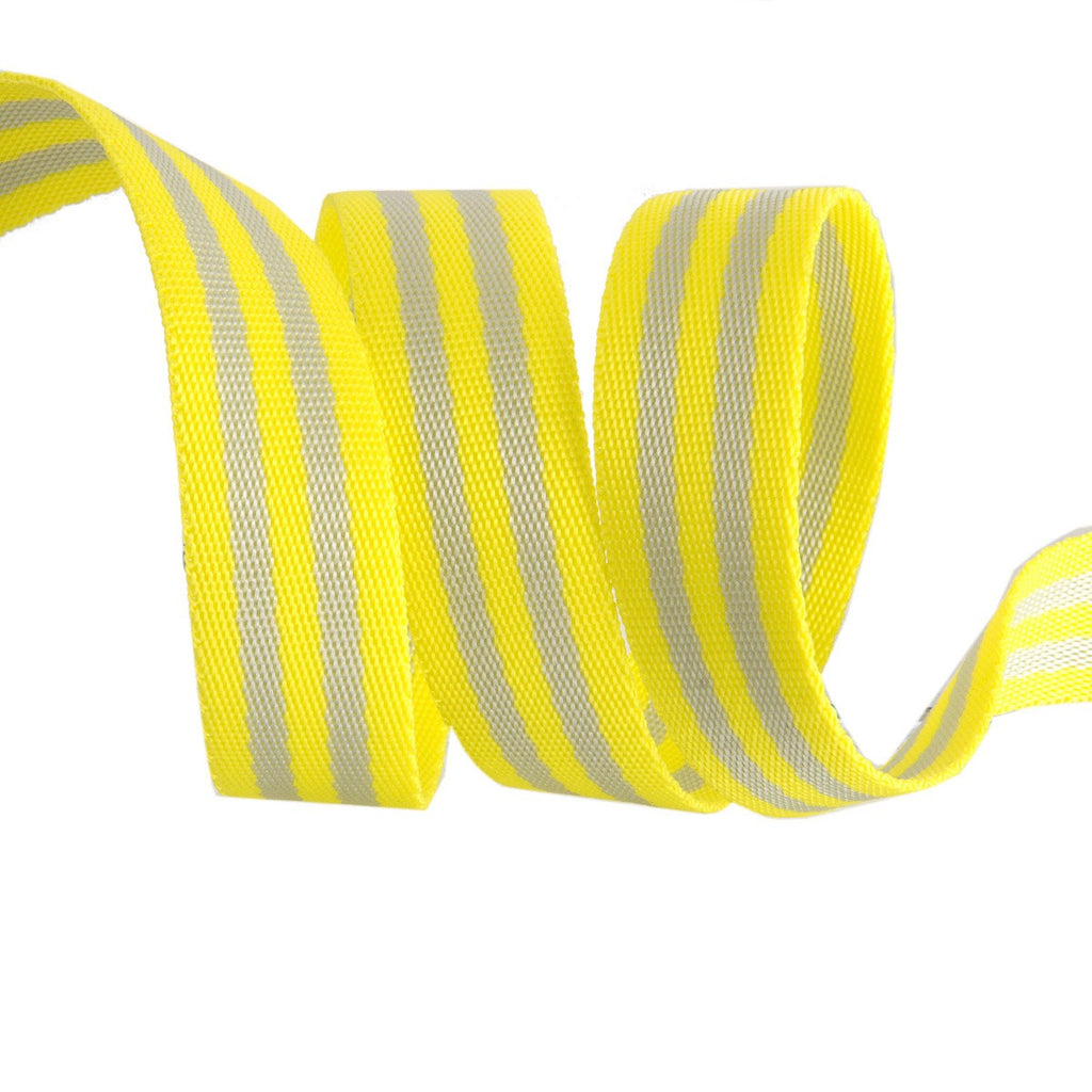 Tula Pink Webbing 1in - Grey and Lime