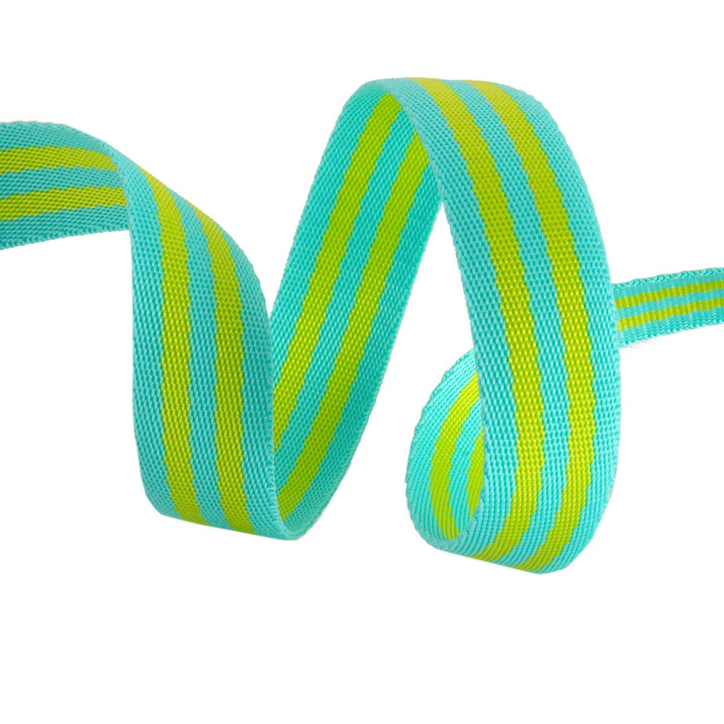 Tula Pink Webbing 1in - Lime and Turquoise