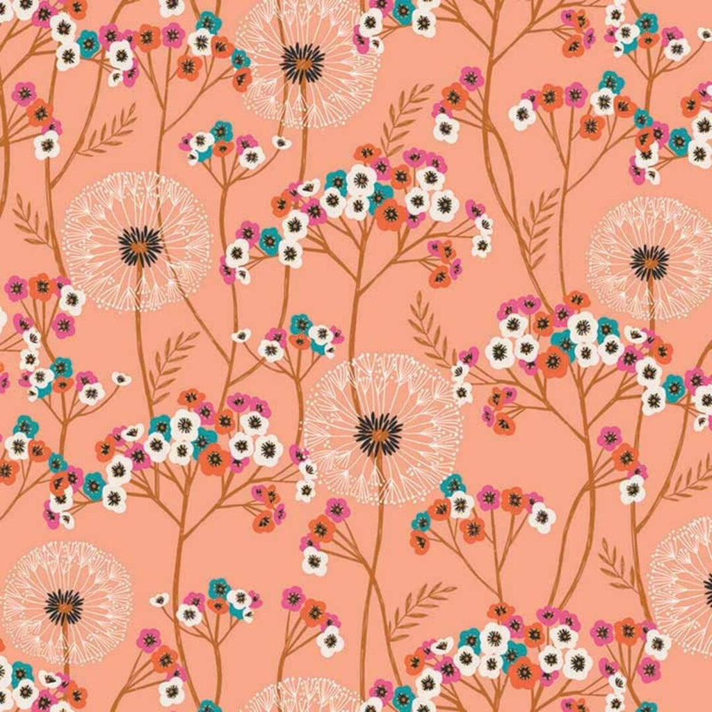 Dashwood Studio -Aviary- Dandelions Peach (possible sold out)